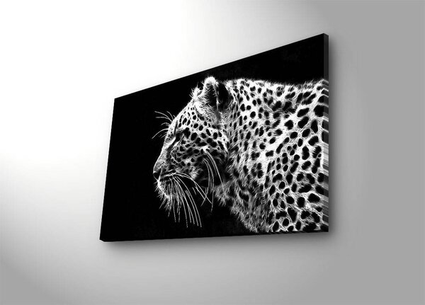 Картина с LED осветление 4570DACT Многоцветна 45x70 см