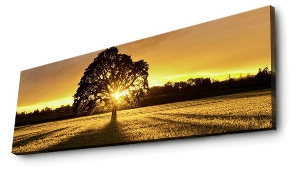 Картина с LED осветление 3090DACT Многоцветна 30x90x3 см