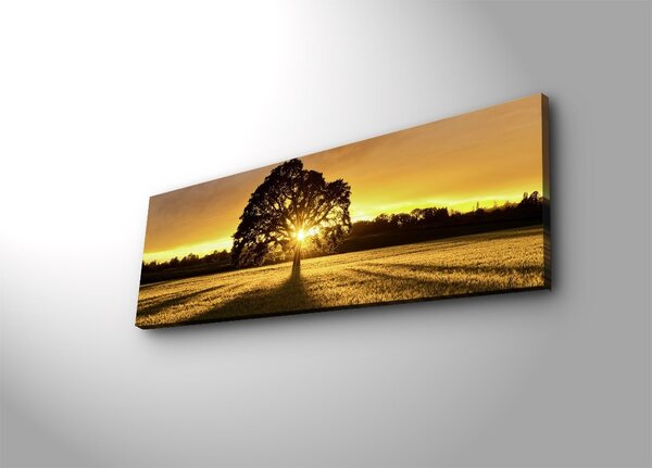 Картина с LED осветление 3090DACT Многоцветна 30x90x3 см