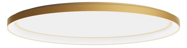 Redo 01-3810 - LED димируемо таванно осветително тяло NOBU LED/80W/230V златно