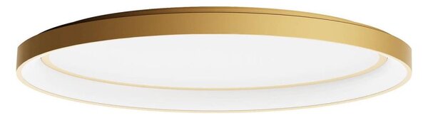 Redo 01-3807 - Димируема LED таванна лампа NOBU LED/60W/230V златна