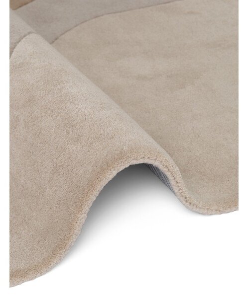 Вълнен килим 160x230 cm Chelsea – Ted Baker