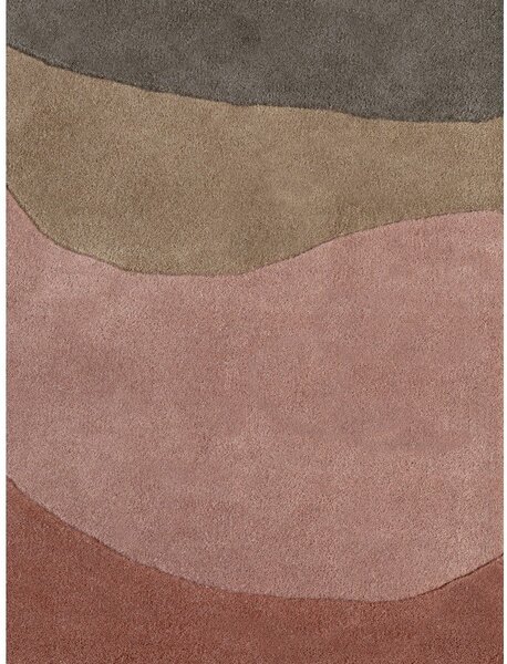 Вълнен килим 160x230 cm Chelsea – Ted Baker