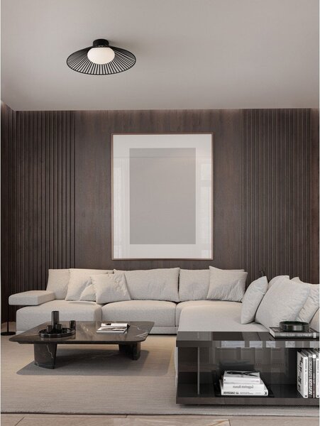 Матово черно метално LED осветително тяло за таван със стъклен абажур Brume – Nova Luce