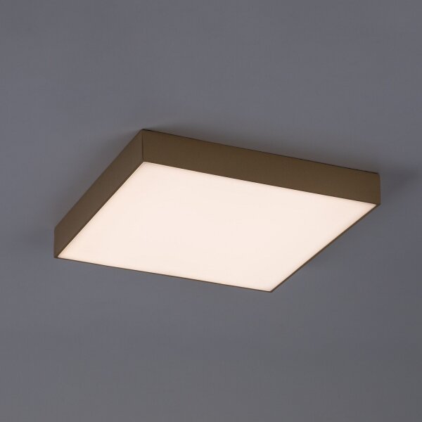 Rabalux 77000 - LED таванно осветително тяло за баня TARTU 24W/230V 2800/4000/6000K IP44