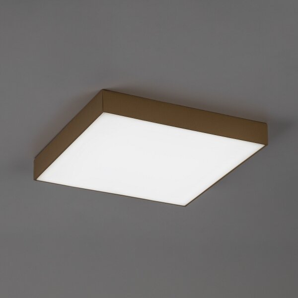 Rabalux 77000 - LED таванно осветително тяло за баня TARTU 24W/230V 2800/4000/6000K IP44