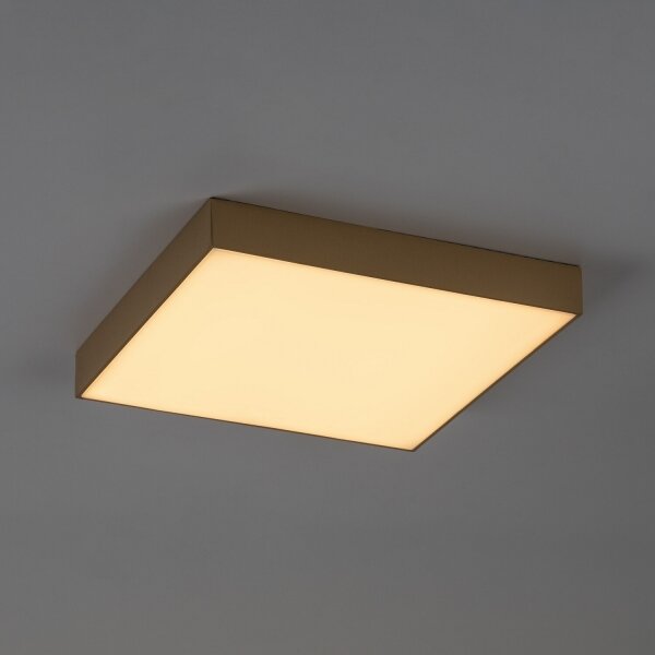 Rabalux 77000 - LED таванно осветително тяло за баня TARTU 24W/230V 2800/4000/6000K IP44