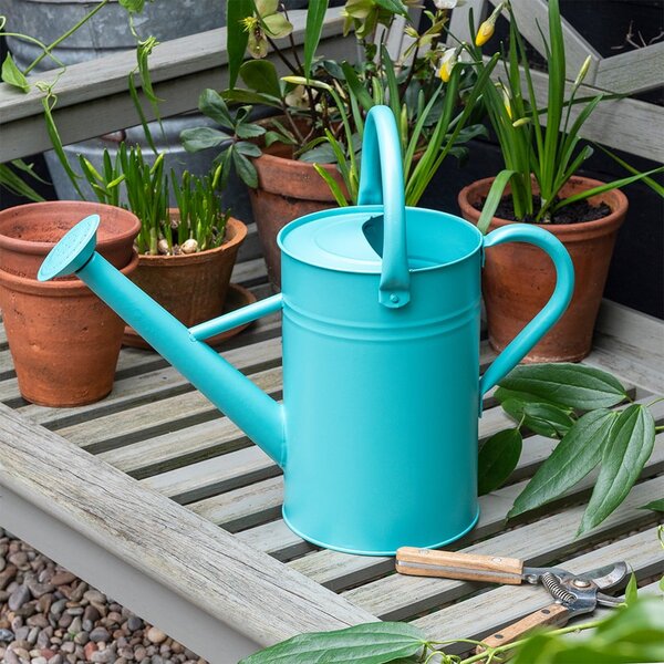 Метална лейка за поливане 4,5 l – Rex London