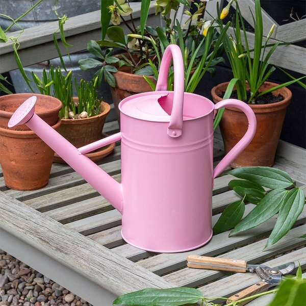 Метална лейка за поливане 4,5 l – Rex London