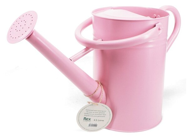 Метална лейка за поливане 4,5 l – Rex London