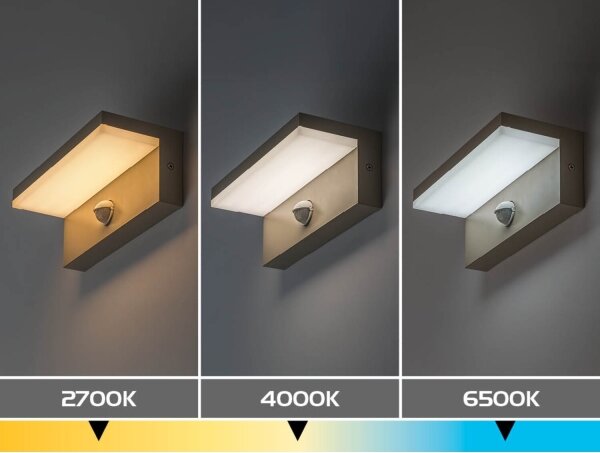 Rabalux 77220 - LED външен стенен аплик със сензор ZARAGOZA 9W/230V IP54 бежов