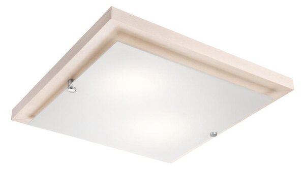 Плафон 1xE27/60W/230V за таванен монтаж