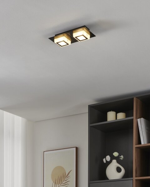Eglo 99362 - LED таванно осветително тяло MASIANO 2xLED/3,3W/230V
