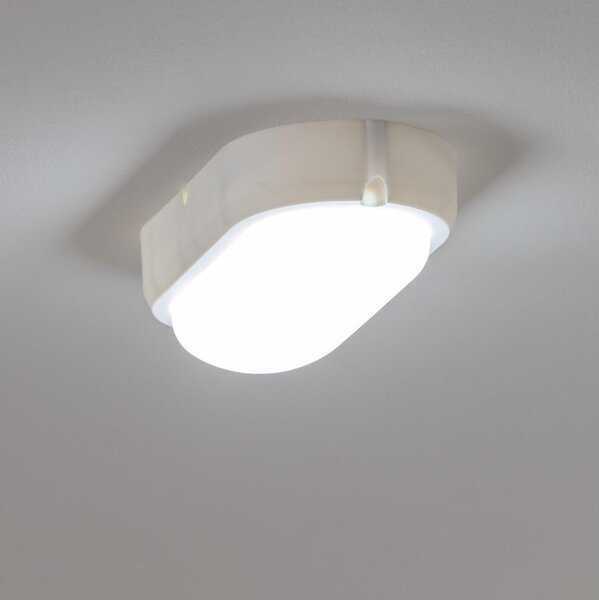 Brilagi - LED Индустриална лампа SIMA LED/12W/230V IP65 бяла