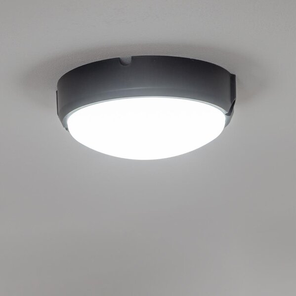 BRILAGI - LED Индустриално осветление за таван SIMA LED/12W/230V IP65 черна