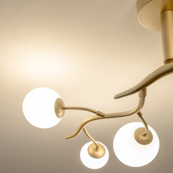 Brilagi - LED Полилей за повърхностен монтаж MISTEL 6xG9/3W/230V златист/бял