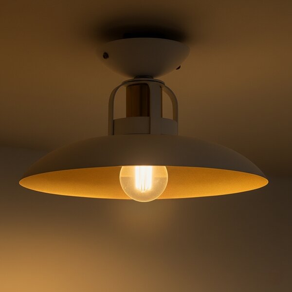 Brilagi - LED Полилей за повърхностен монтаж FLAMENGO 1xE27/60W/230V бял