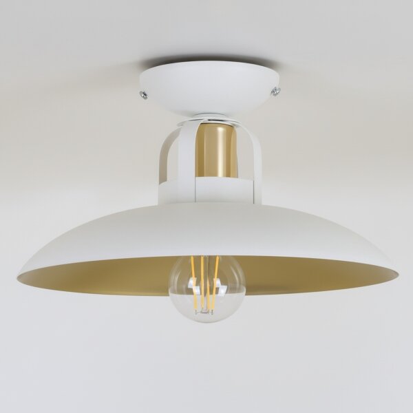 Brilagi - LED Полилей за повърхностен монтаж FLAMENGO 1xE27/60W/230V бял