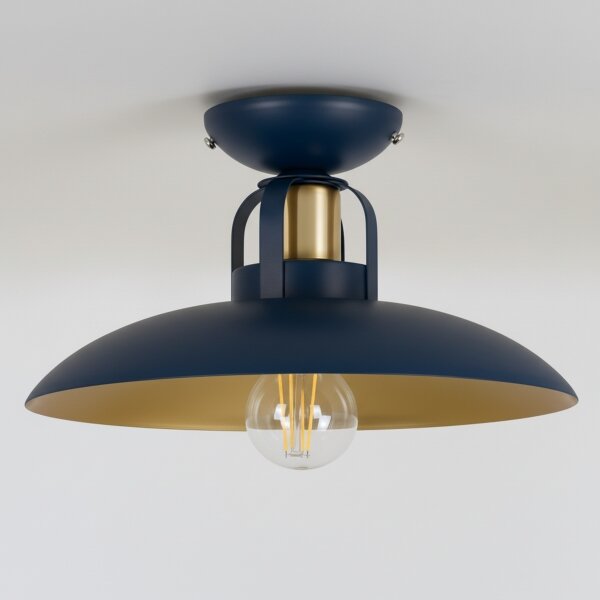 Brilagi - LED Полилей за повърхностен монтаж FLAMENGO 1xE27/60W/230V син