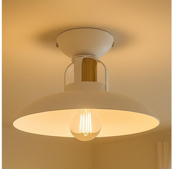 Brilagi - LED Полилей за повърхностен монтаж FLAMENGO 1xE27/60W/230V бял