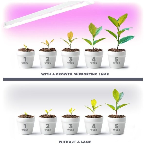 LED осветително за растения GROWLY LED/9W/230V бяло