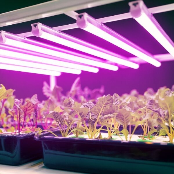 LED осветително за растения GROWLY LED/9W/230V бяло