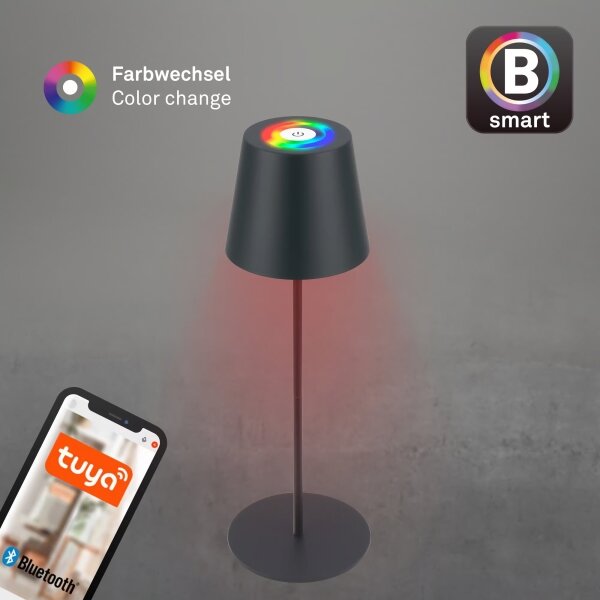 Briloner 7559015-LED RGB настолна лампа COLORIS 3,5W/5V IP44 2000mAh Wi-Fi Tuya