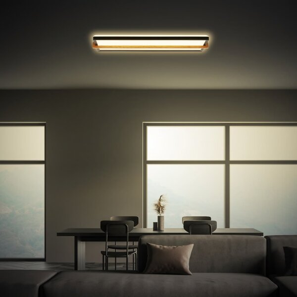 Briloner 3846015 - LED таванно осветително тяло LED/22W/230V 60,5x20 cm