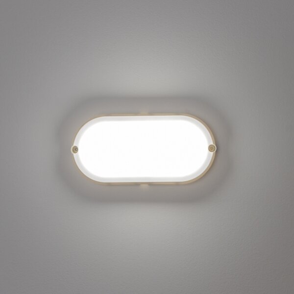 Brilagi - LED Индустриална лампа SIMA LED/12W/230V IP65 бяла