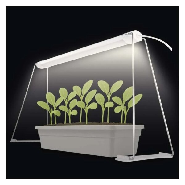 Интериорна LED лампа за отглеждане на растения GROW LED/15W/230V