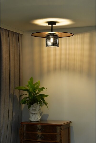 Duolla - Полилей за повърхностен монтаж TOKYO RATTAN 1xE27/15W/230V Ø 50 см златист/черен