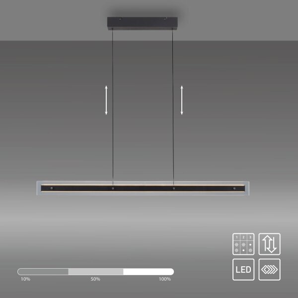 Schöner Wohnen 11316-18 - Димируем LED полилей на кабел LENA LED/32W/230V черен