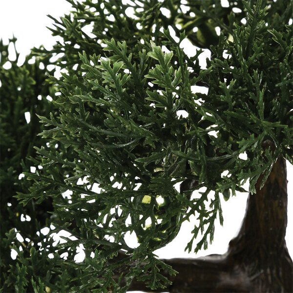 Саксийно растение BONSAI 18 35x32x34см