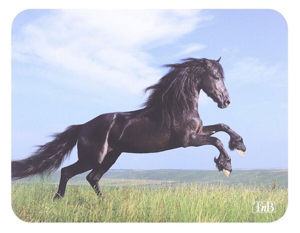 Подложка за мишка TnB TSHORSES, рисунка, 220 x 180 x 3 мм