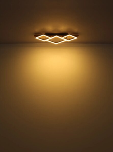 Globo 67330G-24 - LED Плафониера BEATRIX I LED/24W/230V