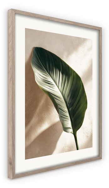 Печатна картина с включена рамка 50x70 cm Strelizia Leaf – Styler