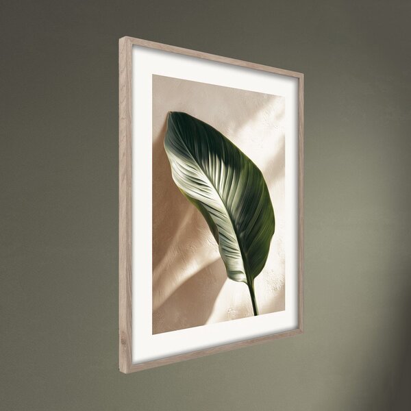 Печатна картина с включена рамка 50x70 cm Strelizia Leaf – Styler