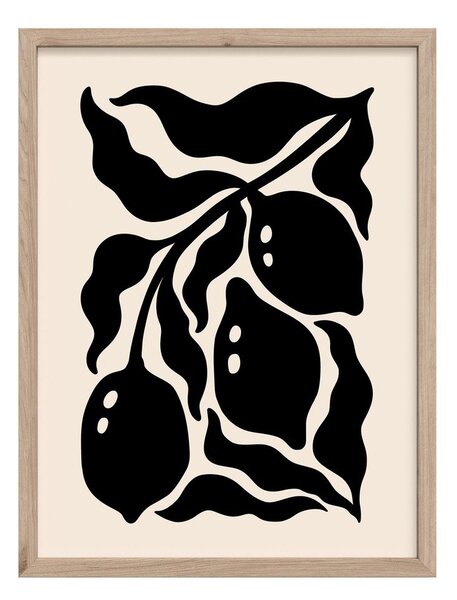 Печатна картина с включена рамка 30x40 cm Fruit – Styler