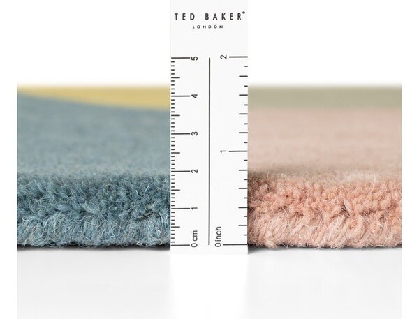 Ръчно изработен вълнен килим 120x170 cm Westminster Cecil – Ted Baker