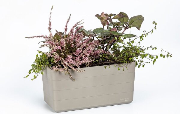 Пластмасова самополиваща се саксия за цветя 39,5 cm Berberis – Plastia
