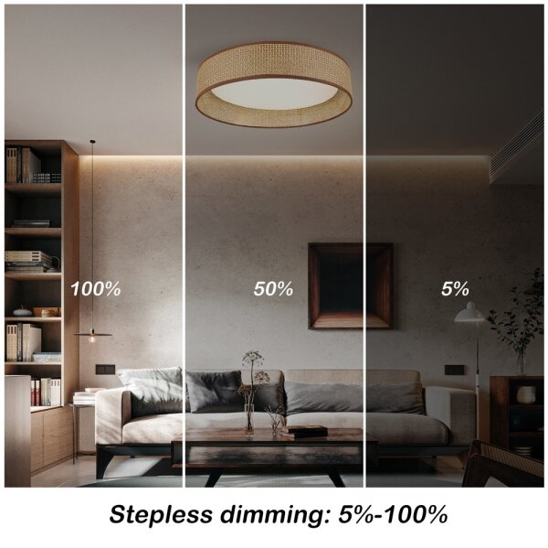 Immax NEO 07288L - LED+CCT димируемо таванно осветително тяло LONA 36W/230V Ø 45,5 cm с дистанционно управление