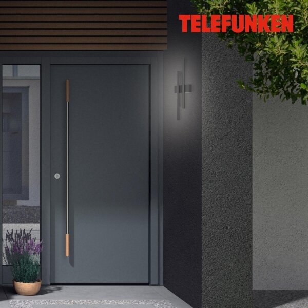 Telefunken 313205TF - LED външна стенна лампа 2xLED/4W/230V 4000K IP44