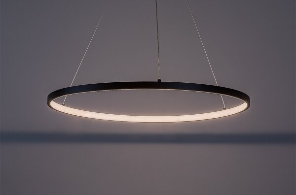 Rabalux 72344 - LED полилей на кабел BELIZA LED/55W/230V 3000K