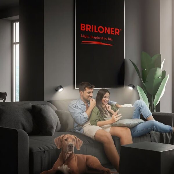 Briloner 3896015 - димируема акумулаторна LED стенна лампа TARI LED/1,6W/5V 1500 mAh черна