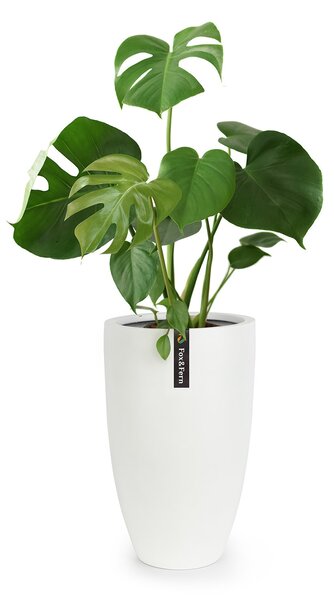 Fox & Fern Саксия Almere Fibre Stone, идеална за растения, ръчно изработена, конусовидна