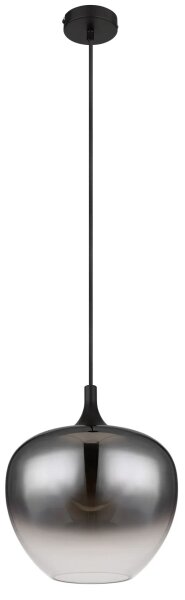 Globo 15548H1 - Пендел MAXY 1xE27/60W/230V черен