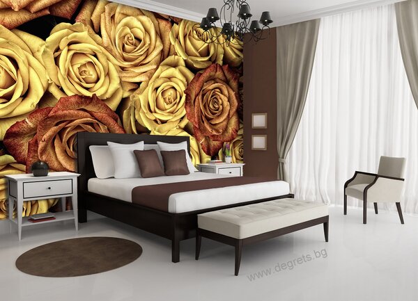 Фототапет Винтидж рози 3D XL