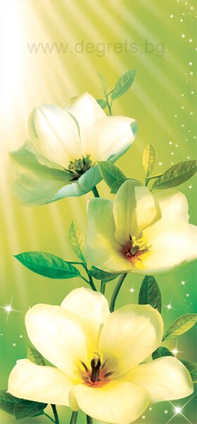 Фототапет Красота 2
