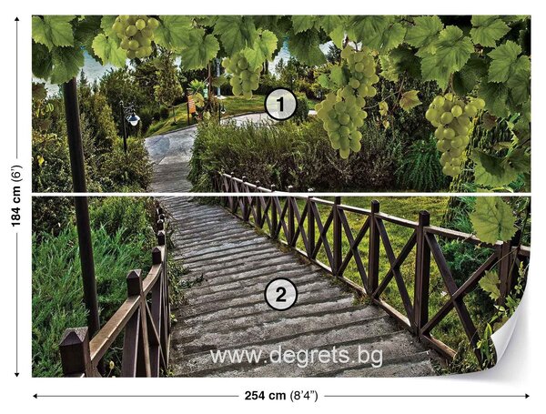 Фототапет Пътека през лозята 3D