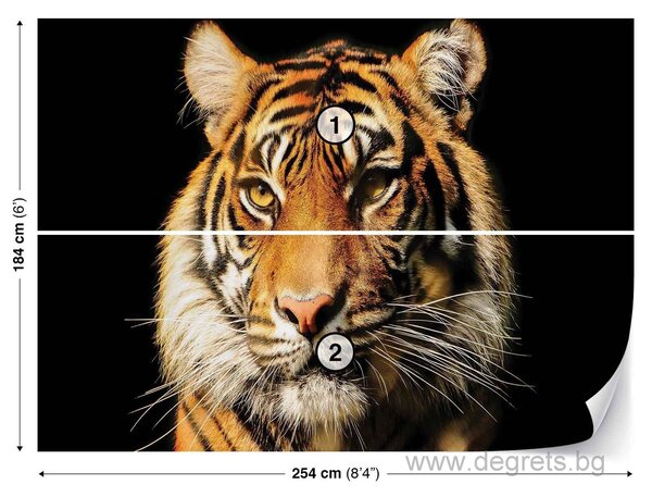 Фототапет Тигър 2 3D